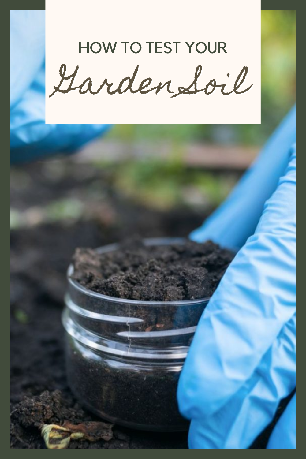 How To Test Garden Soil For Nutrients, PH & Drainage