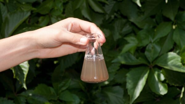 How To Test Garden Soil For Nutrients, PH & Drainage