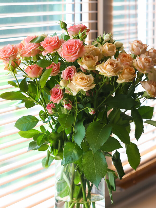 8 Ways To Make Cut Roses Last Longer Homestead HowTo
