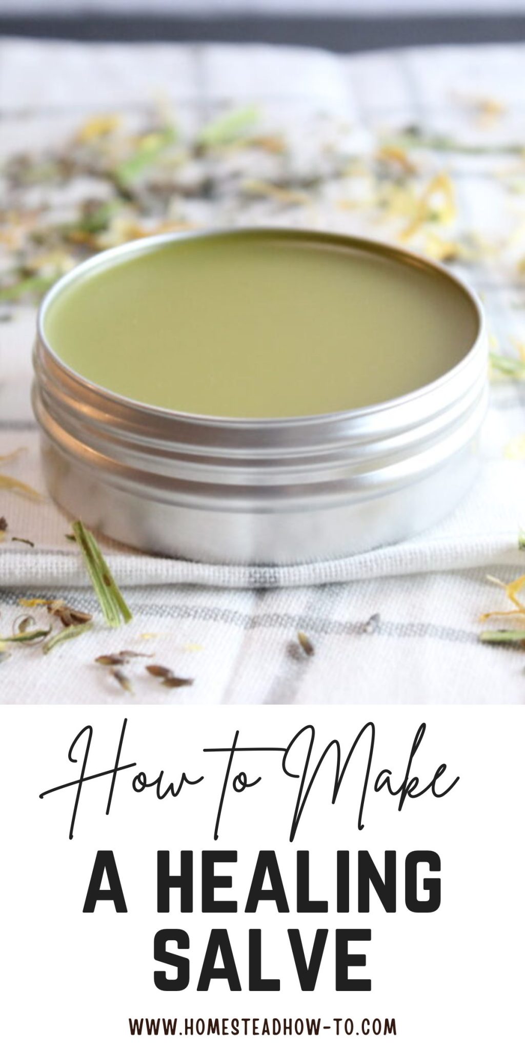 How To Make Jewelweed Salve How To Make Jewelweed Salve