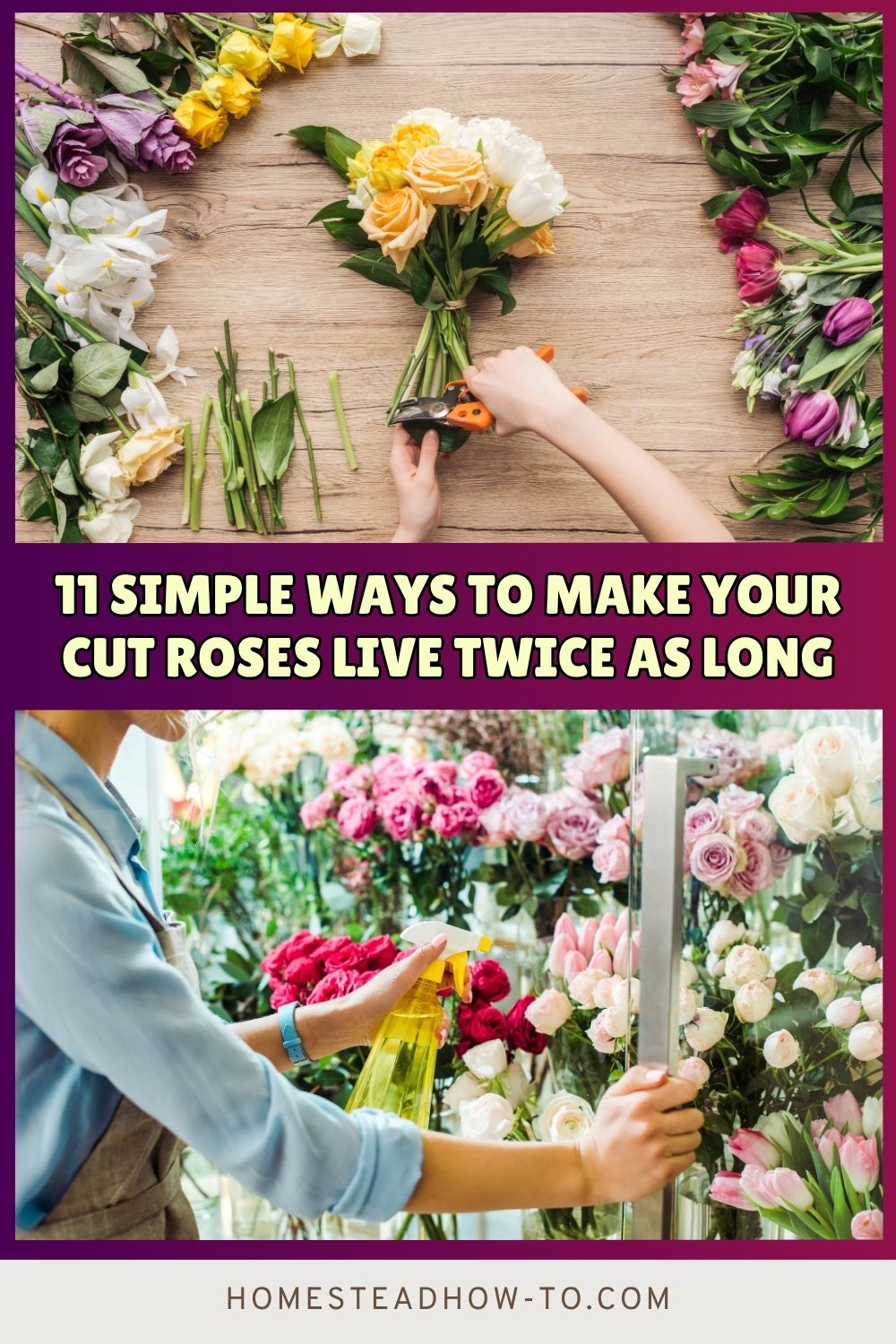 Cust Roses 11 Simple Ways To Make Your Cut Roses Live Twice As Long