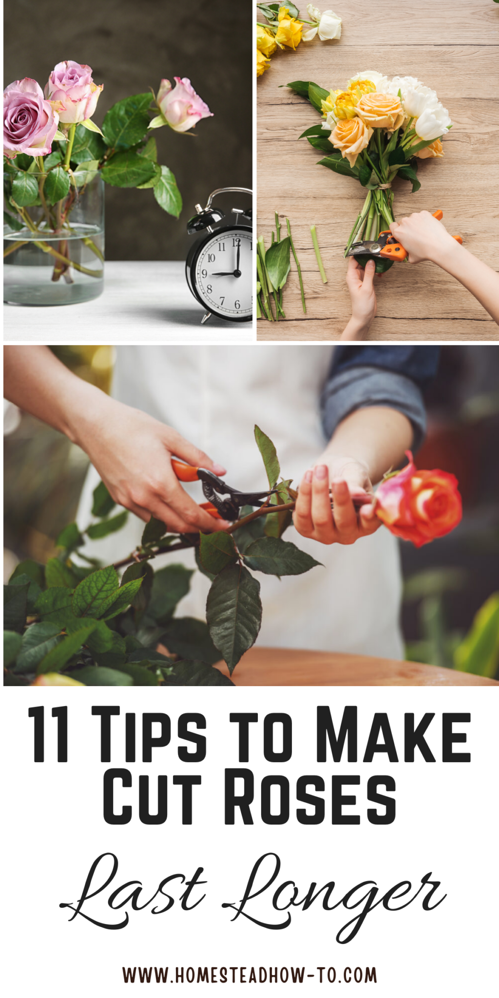 Cust Roses 11 Simple Ways To Make Your Cut Roses Live Twice As Long