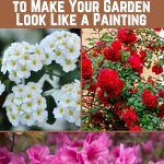 14 Colorful Flowering Shrubs to Make Your Garden Look Like a Painting