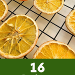 16 Perfectly Delicious Dehydrator Snacks You Have to Try Pin