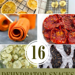 16 Perfectly Delicious Dehydrator Snacks You Have to Try Pin