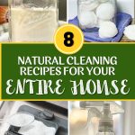 8 Natural Cleaning Recipes for Your Entire House