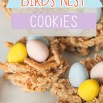Easter Birds Nest Cookies
