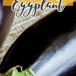 How to Freeze Eggplant