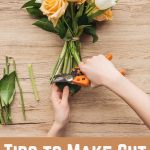 Tips to Make Cut Flowers Last Long longer