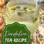 dandelion tea recipe