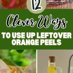 12 Clever Ways to Use Up Leftover Orange Peels