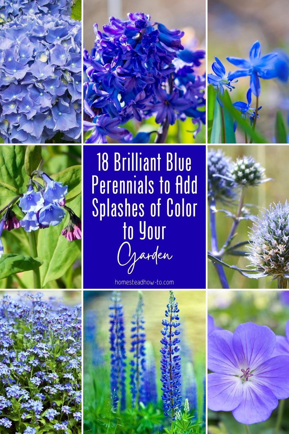 18 Brilliant Blue Perennials To Add Splashes Of Color To Your Garden