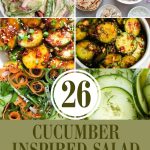 26 Cucumber Inspired Salad Recipes You'll Absolutely Love