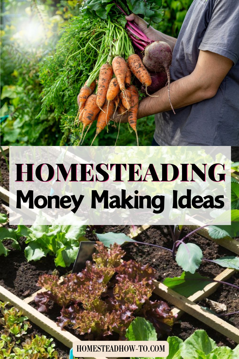 How To Make Money Homesteading And Turn Projects Into Profits