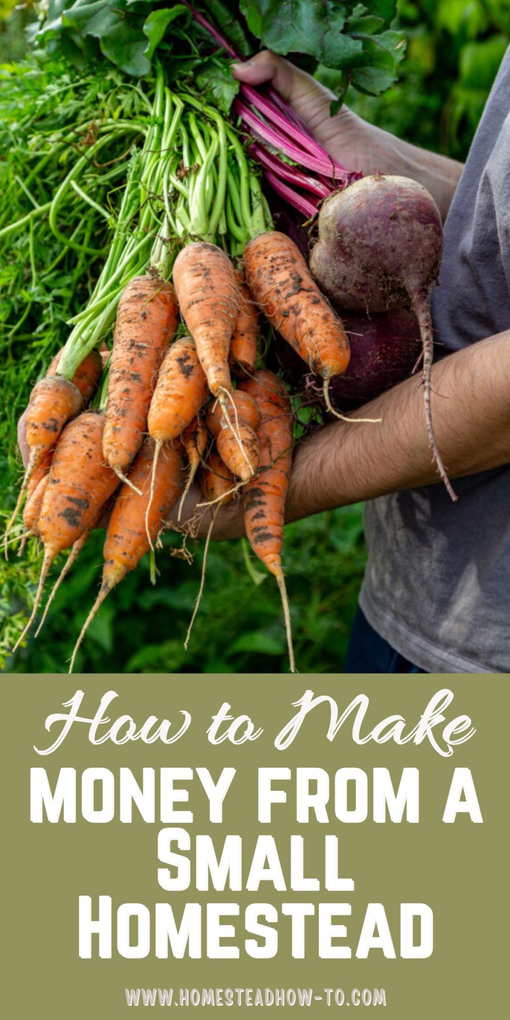 How To Make Money Homesteading And Turn Projects Into Profits