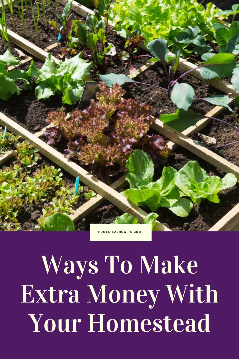 How To Make Money Homesteading And Turn Projects Into Profits