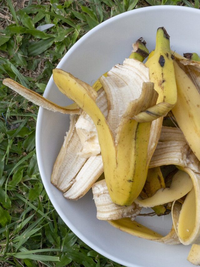 6 Uses For Banana Peels In Garden Homestead HowTo
