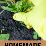 homemade weed killers