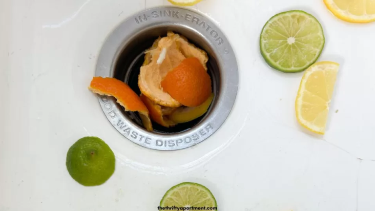 Orange Peels In Garbage Disposal Wallpaper For Android