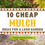 10 Cheap Mulch Ideas for a Lush Garden