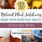 15 Natural Plant Fertilizers Made from Everyday Waste to Feed Your Garden