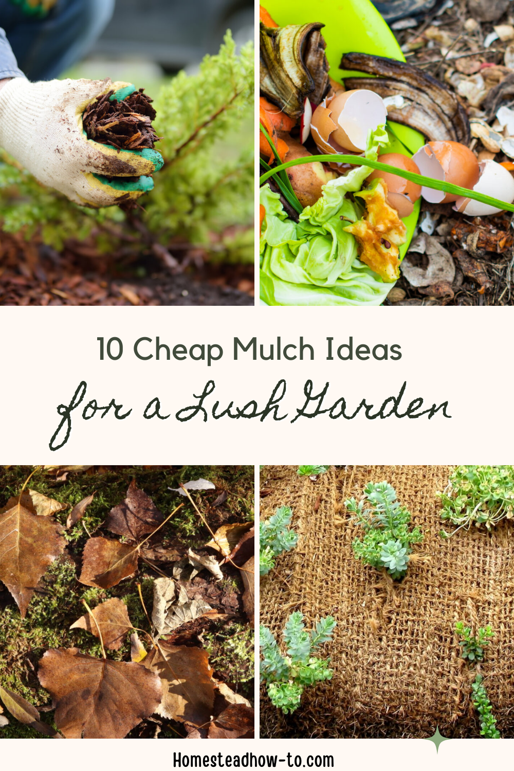 10 Cheap Mulch Ideas For A Lush Garden