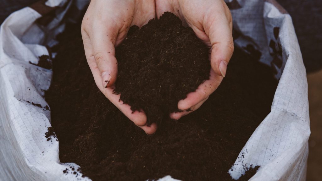 23 Container Gardening Mistakes That Can Harm Your Plants 9 Hand in bag of dark rich soil full of humus. High-quality photo