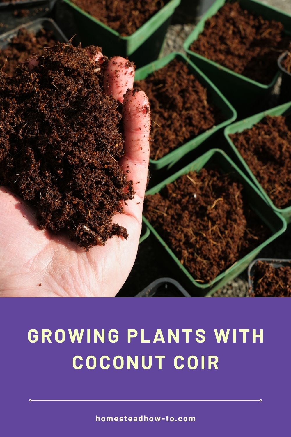 Growing Plants With Coconut Coir