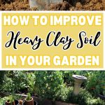 How to Improve Heavy Clay Soil in Your Garden
