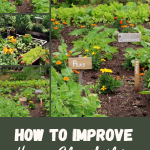 How to Improve Heavy Clay Soil in Your Garden
