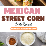 Mexican Street Corn (Elote Recipe)