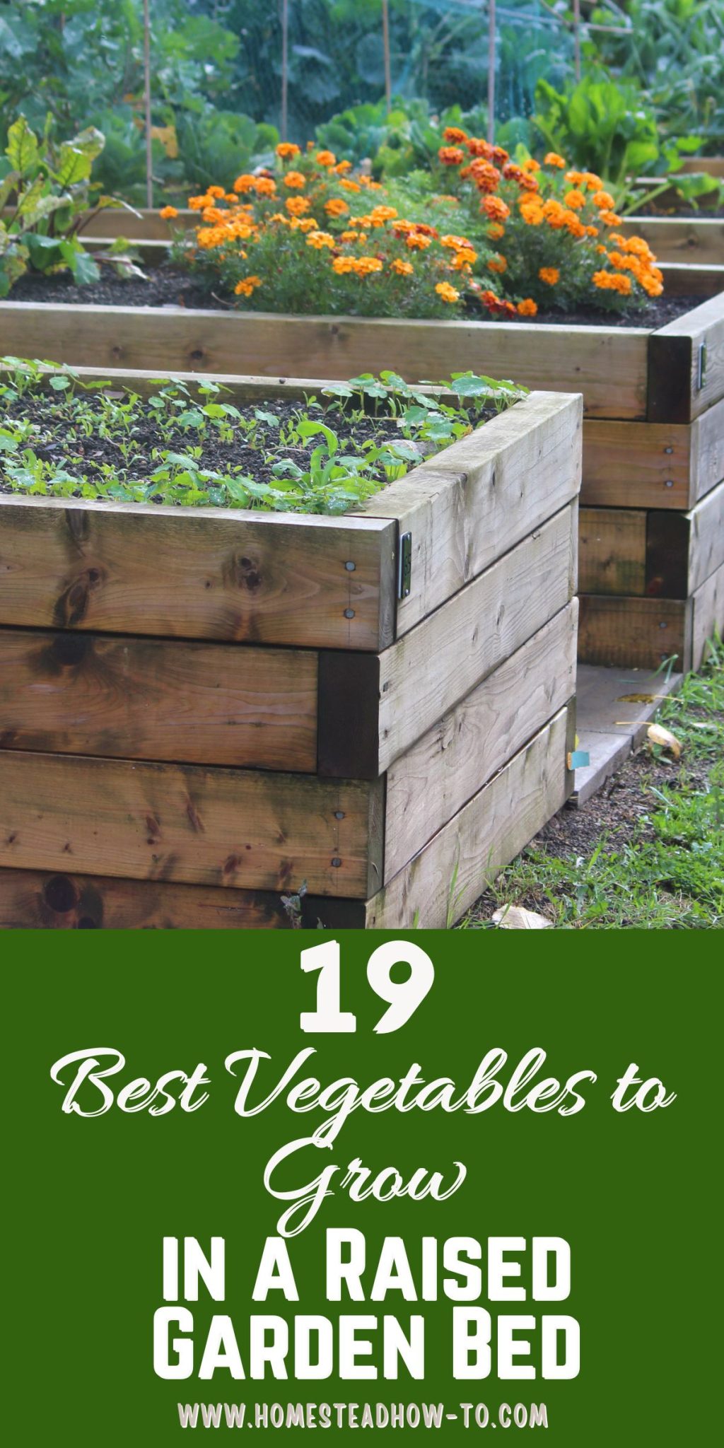 WHAT VEGETABLES CAN YOU GROW IN A RAISED GARDEN BED visual data 4