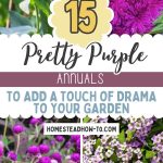 15 Pretty Purple Annuals To Add a Touch of Drama to Your Garden