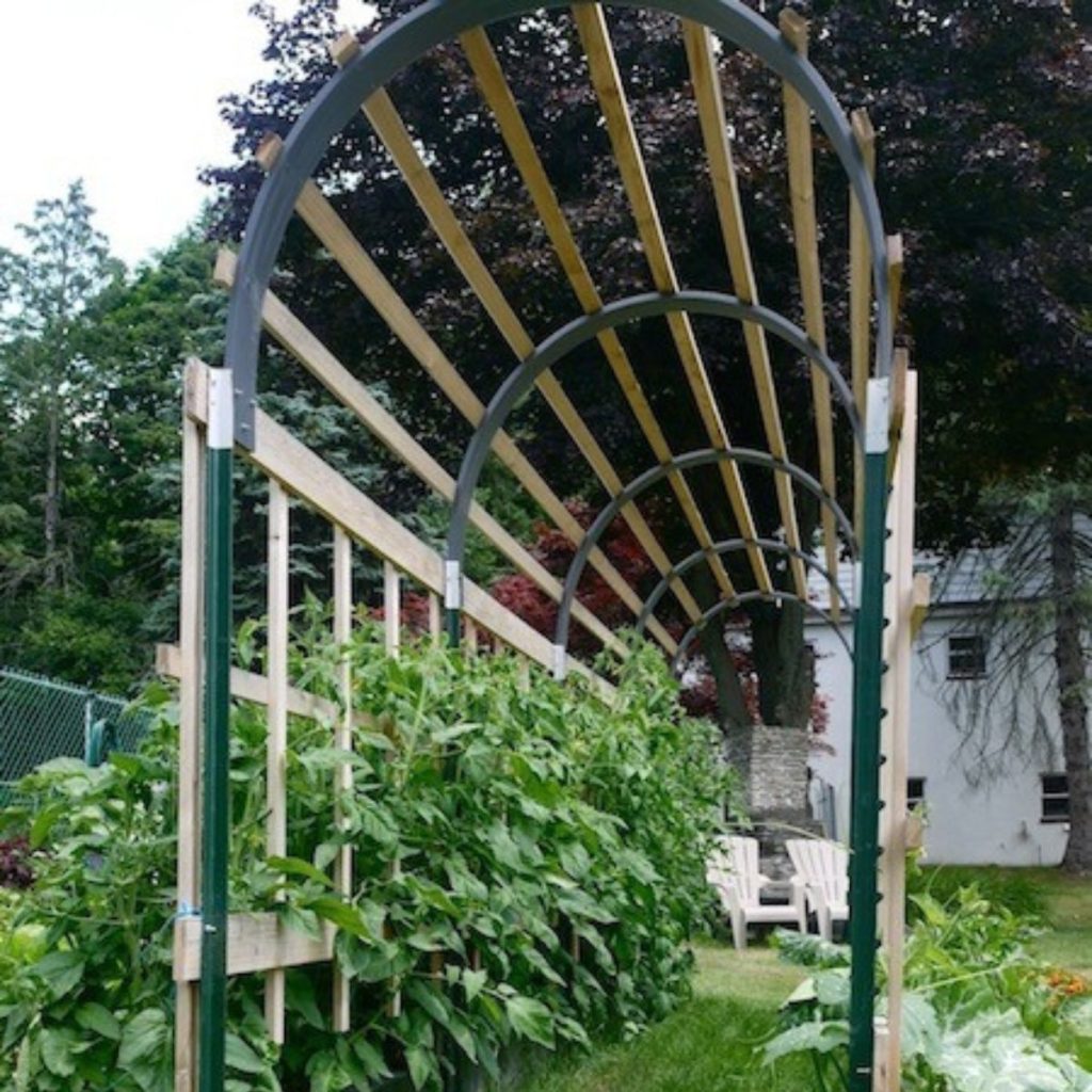 9 DIY Trellis Designs to Spruce Up Your Garden 4 Trellis for Tomato Plants