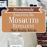 Homemade Essential Oil Mosquito Repellent That Really Works