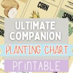 Ultimate Companion Planting Chart Printable