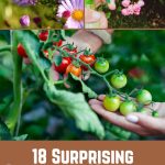18 Surprising Gardening Mistakes Almost Everyone Makes