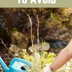 Gardening Mistakes to Avoid