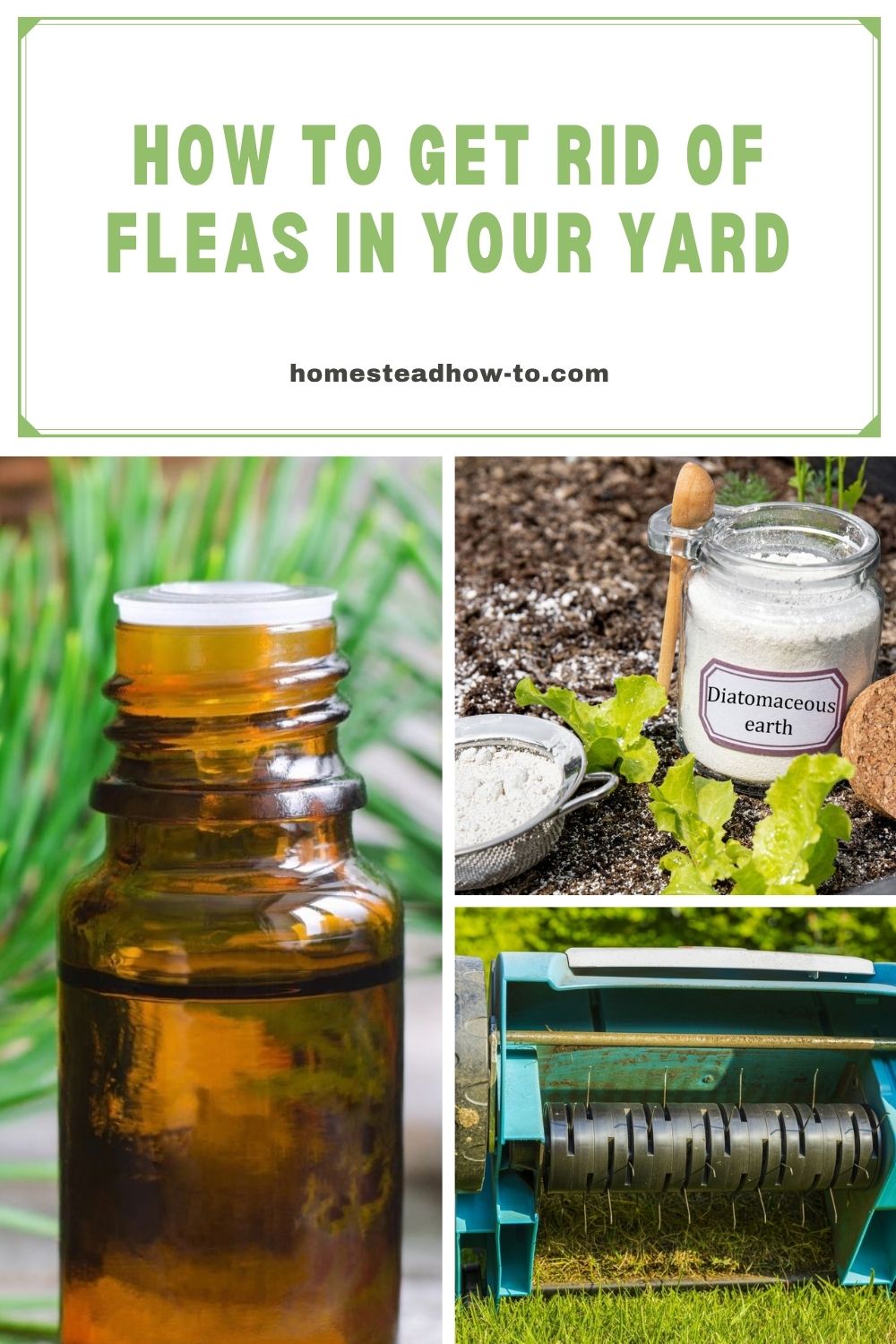 How To Get Rid Of Fleas In Your Yard