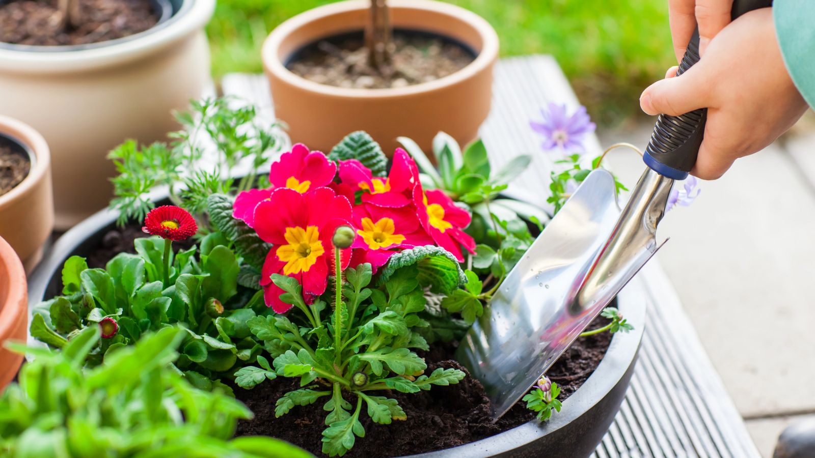 15 Fruits and Vegetables Ideal for Balcony and Patio Gardens