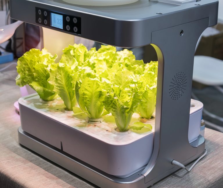 The Best Growing Medium for Your Hydroponic Garden Systems