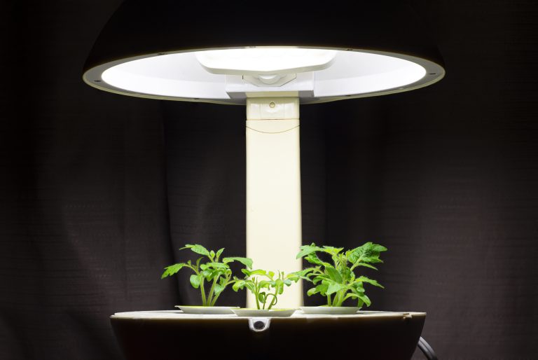 Best Grow Tent Kits for Indoor Gardening, 2026