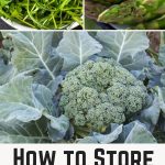 How to Store Your Favorite Veggies After Harvesting