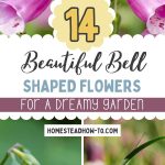 14 Beautiful Bell Shaped Flowers for a Dreamy Garden