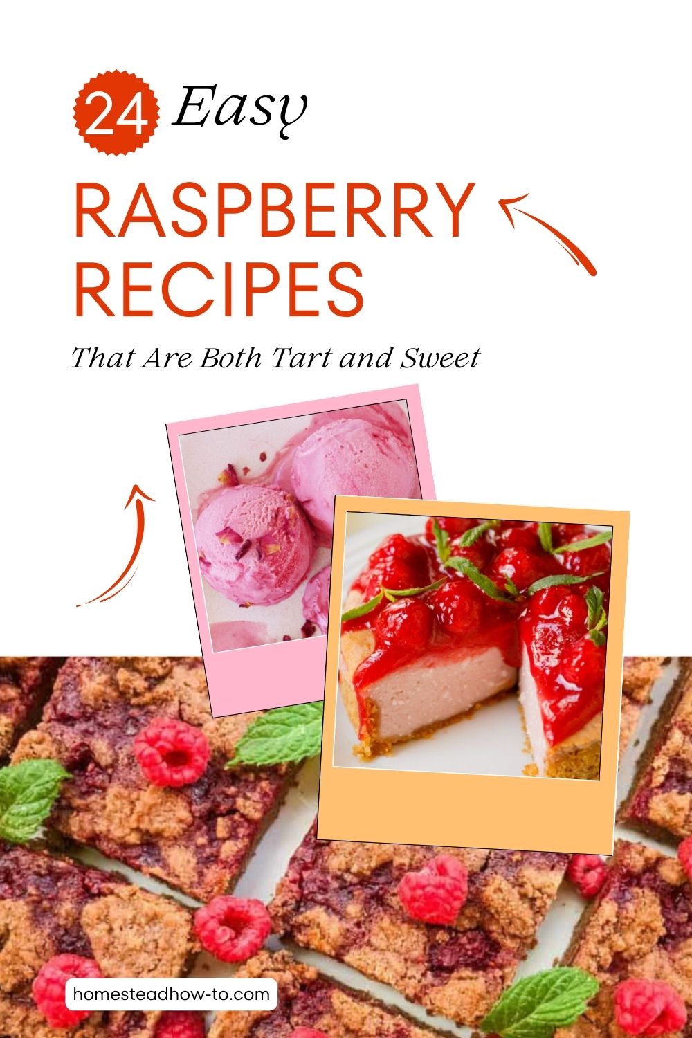 Raspberry Sweet Raspberry Home 24 Easy Raspberry Recipes That Are Both Tart And Sweet