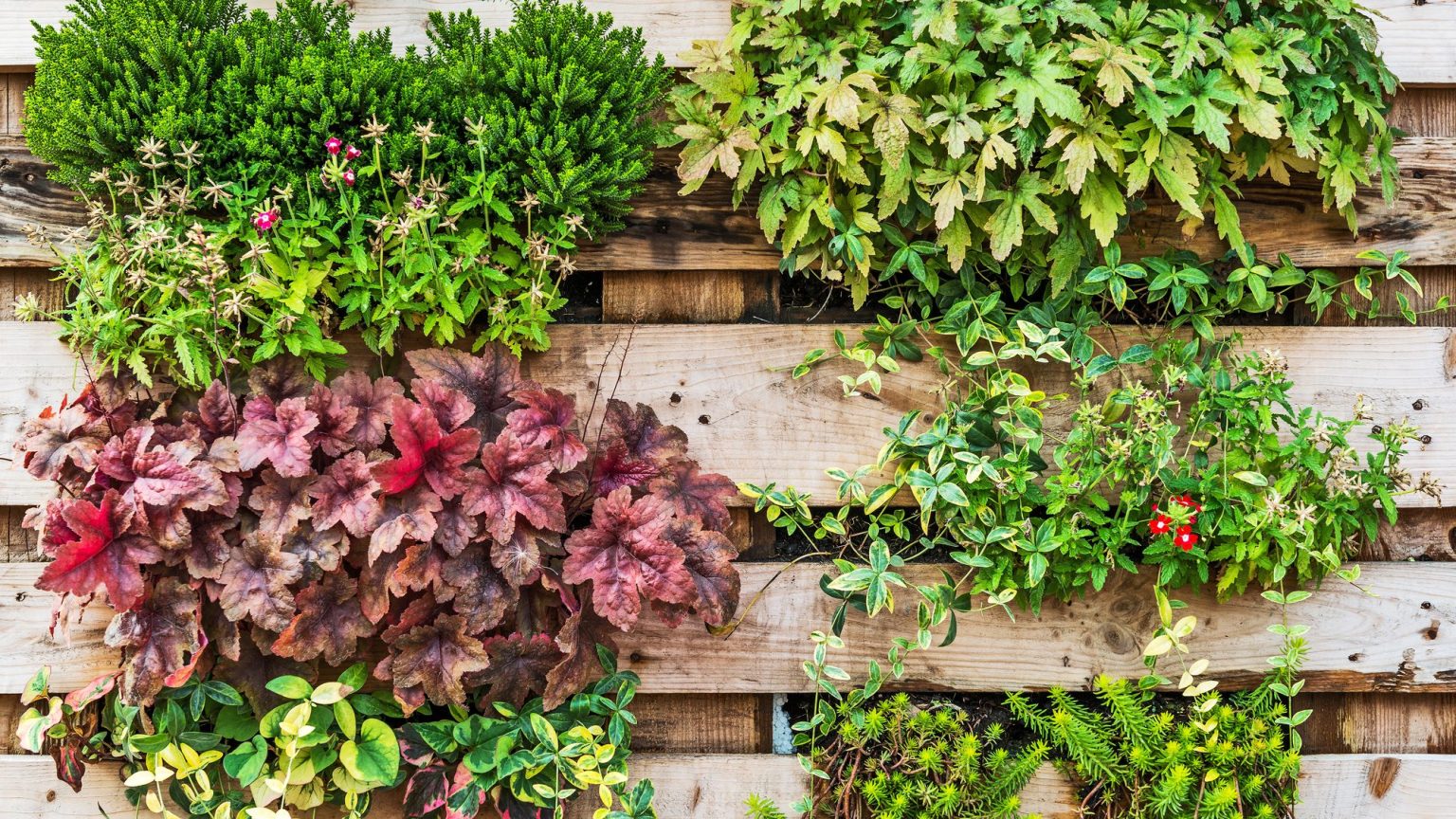 Declutter Garden 13 Best Decluttering Tips For Hoarders Ready To Make A Change