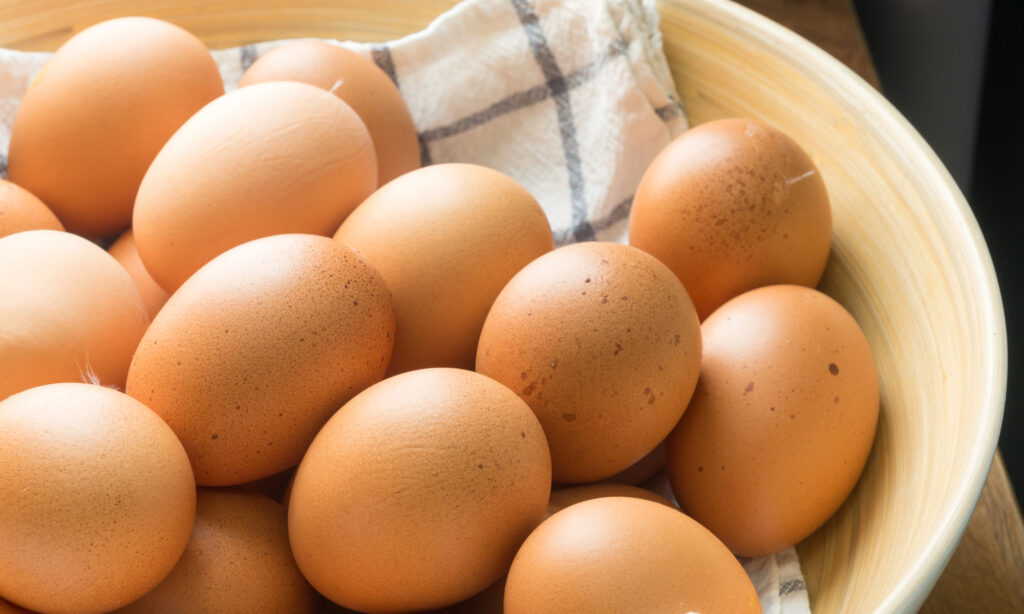 12 Reasons Why Keeping Chickens In Your Backyard Is A Great Idea 1 eggs