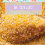 How to Get Rid of Ants in the Raised Garden Beds