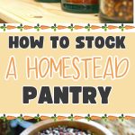 How to Stock a Homestead Pantry