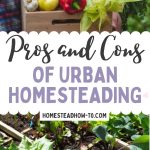 Pros and cons of urban homesteading